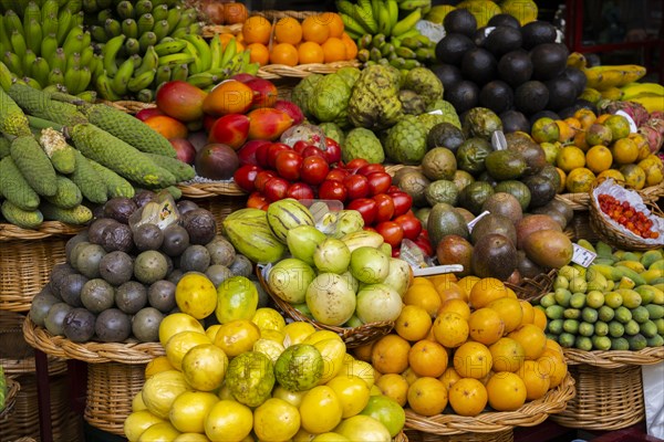 Fruit and vegetable stall at the Mercado dos Lavradores