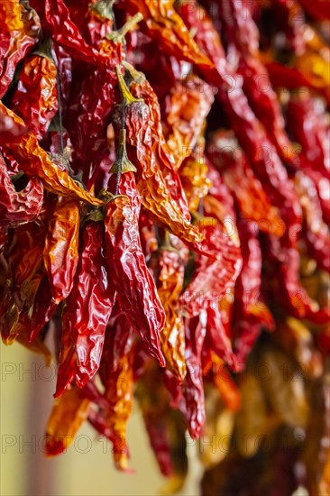 Chilli stall at the Mercado dos Lavradores