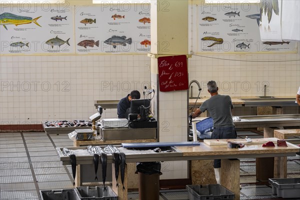 Fish market at the Mercado dos Lavradores
