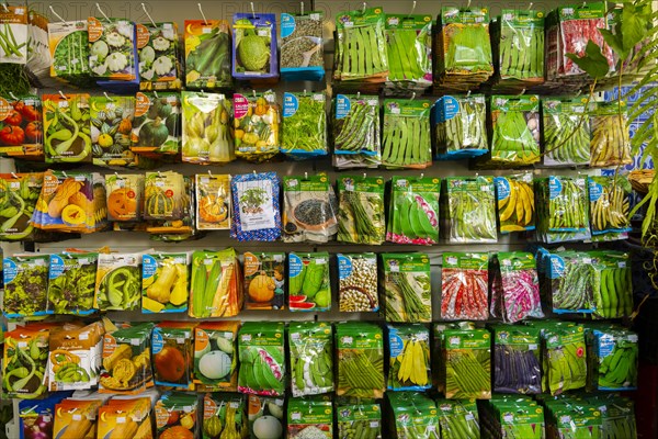 Plant seed stall at the Mercado dos Lavradores