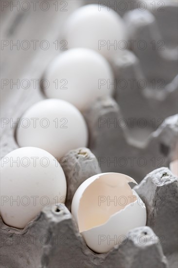 Carton of white chicken eggs and egg shells