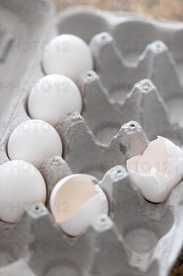 Carton of white chicken eggs and egg shells