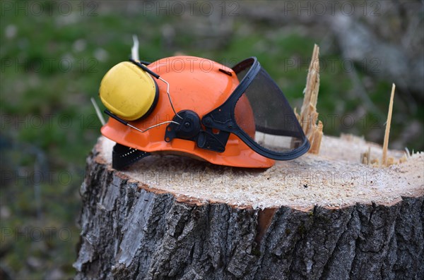 Hard hat and headphones