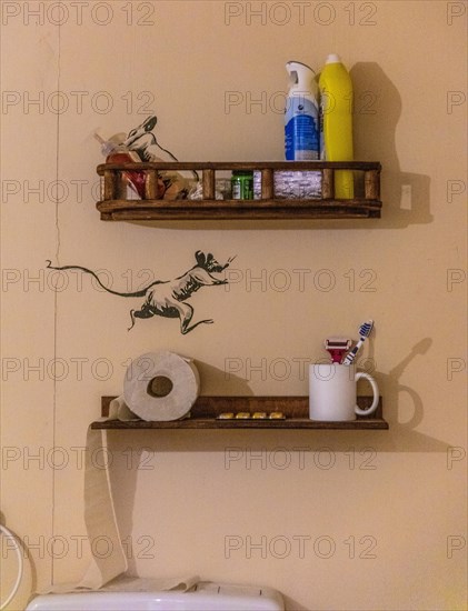Bathroom Installation