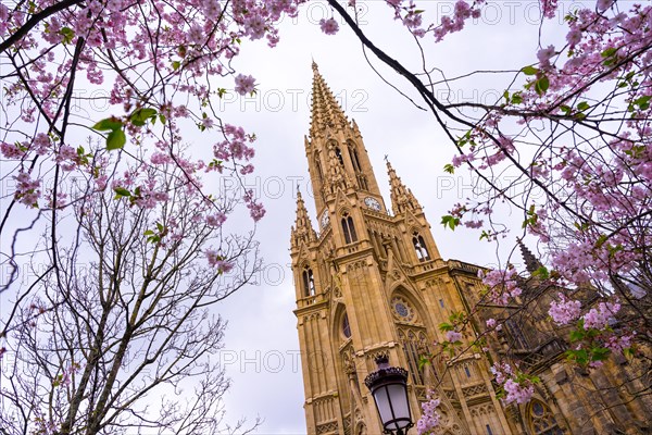 Church of the Good Shepherd between pink flowers on the trees in spring in the city of San Sebastian