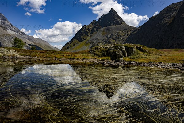 Small mountain lake with Engadine peaks in the background