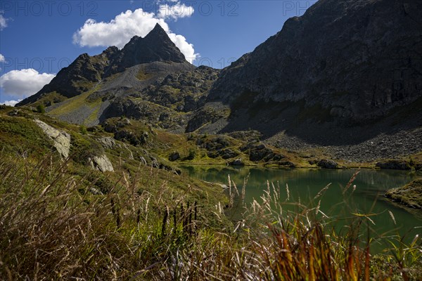 Small mountain lake with Engadine peaks in the background