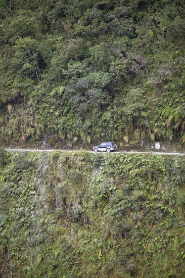 Camino a los Yungas or Yungas Road