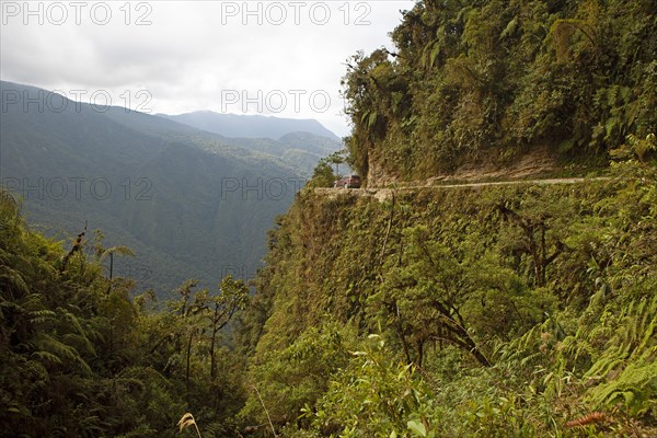 Camino a los Yungas or Yungas Road