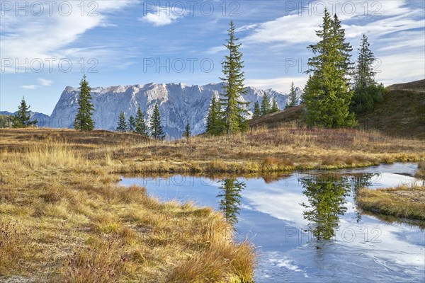 Autumn alpine pasture in fine weather