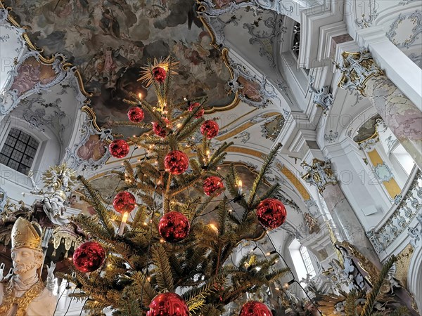 Christmas decoration in the pilgrimage church Basilica Vierzehnheiligen near Bad Staffelstein