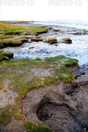 Natural beach with direct transition into the Wadden Sea