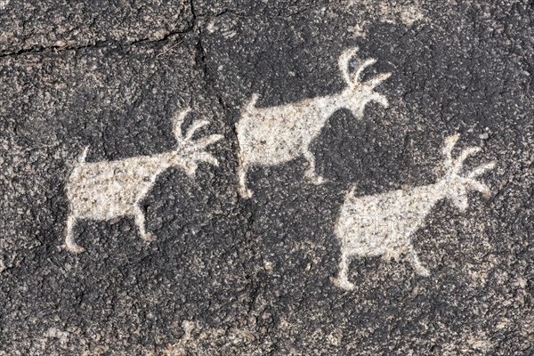 Petroglyphs created by the Hohokam Indians