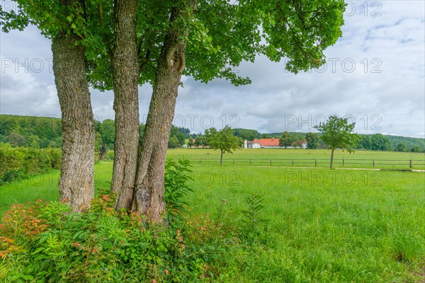 Fohlenhof Gestuet St. Johann