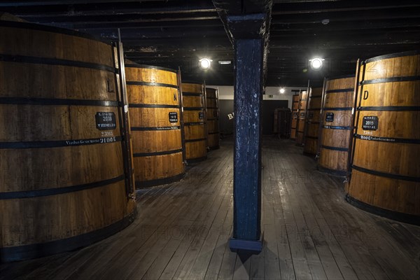 Blandy's fermentation vats with Madeira Wine