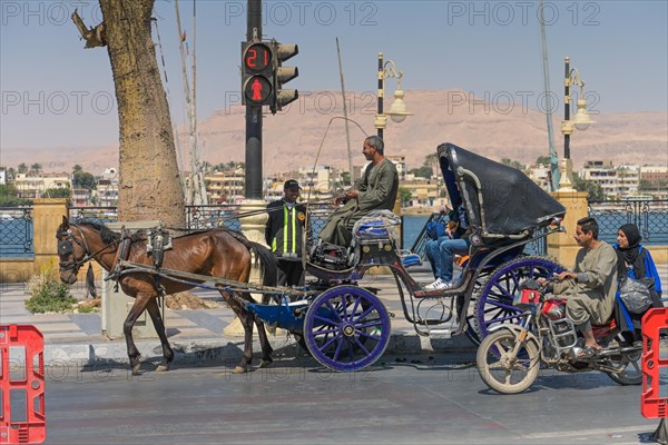 Horse-drawn carriage