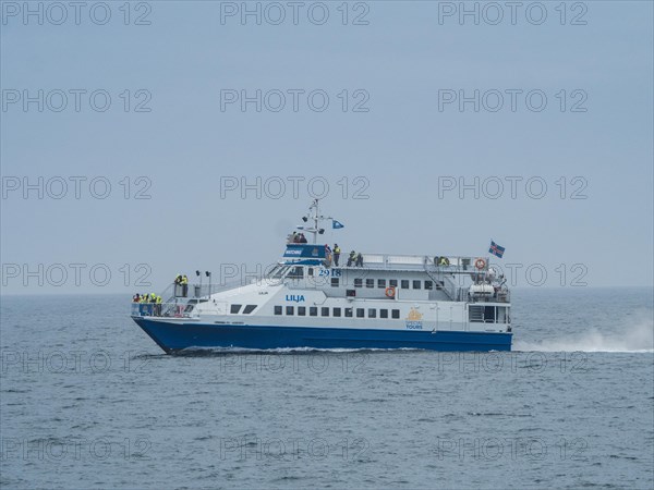 Boat for whale watching