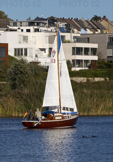 A sailboat in front of the houses at the Phoenix See in Dortmund