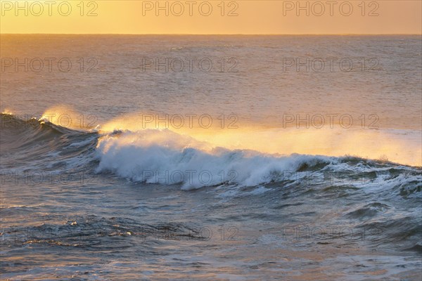 Wave on open sea breaking against the light at sunrise