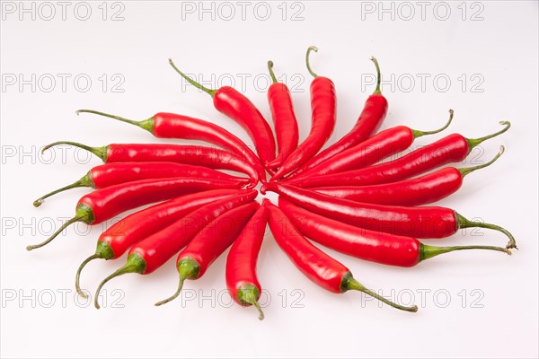 Red chilli on white background