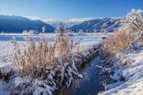 Winter landscape in the Murnauer moss with Estergebirge and Ammergau Alps