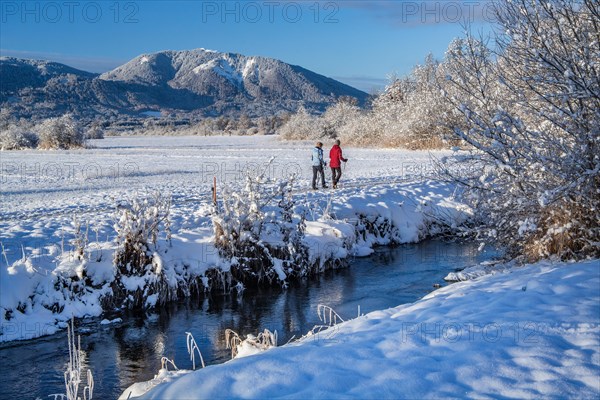 Winter hiker in the snowy Murnauer moss with Hoernle 1548m in the Ammergau Alps