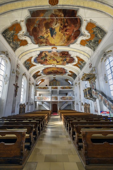 Organ gallery and ceiling frescoes