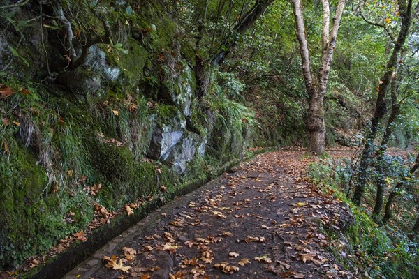 Hiking trail with levada