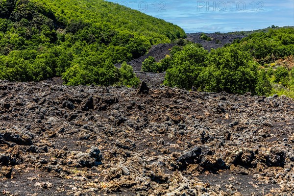 Cooled lava flow from 199192 at Piano dell Acqua