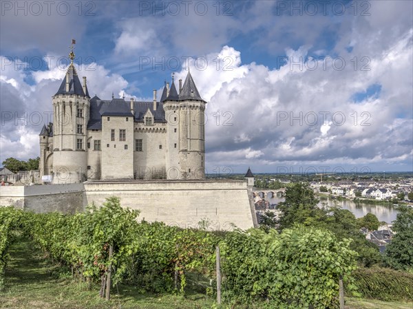 Chateau de Saumur with vineyards in the foreground and the banks of the Loire in the background