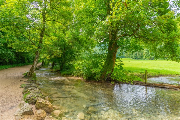 Premium hiking trail Wasserfallsteig