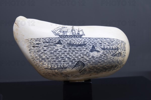 Historical drawings on a tooth of a sperm whale