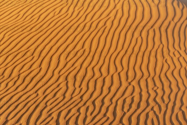 Natural patterns and ripples in the sand