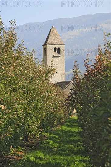 St. Proculus Church in Naturno