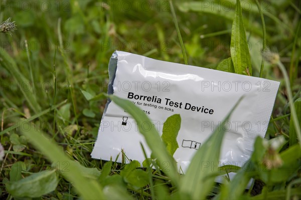Open packaging of a medical test kit to check for Borrelia after a tick bite lies in the grass