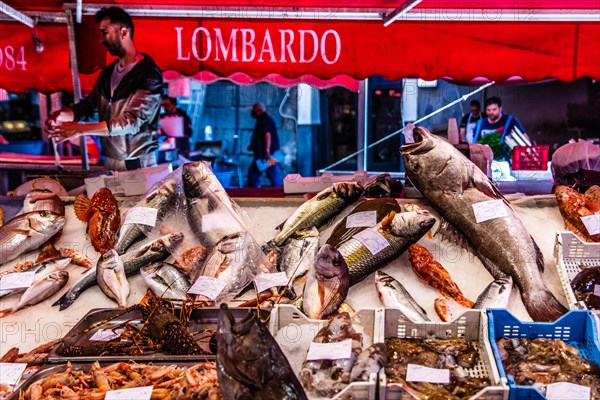 Historic fish market La pescheria with a cornucopia of colourful sea creatures