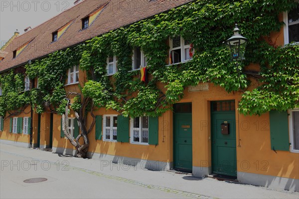 House facade with tree in front