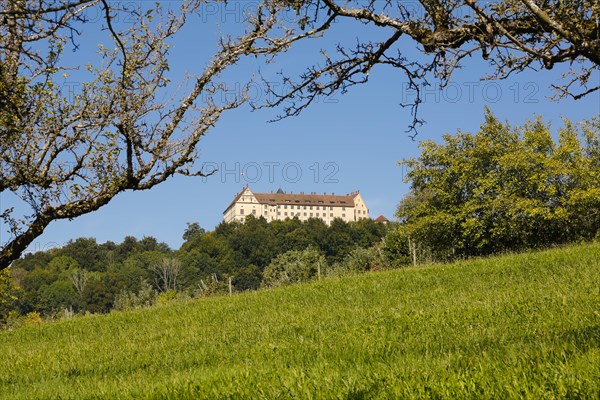 Heiligenberg Castle