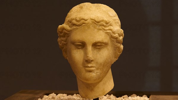 Marble head of Aphrodite