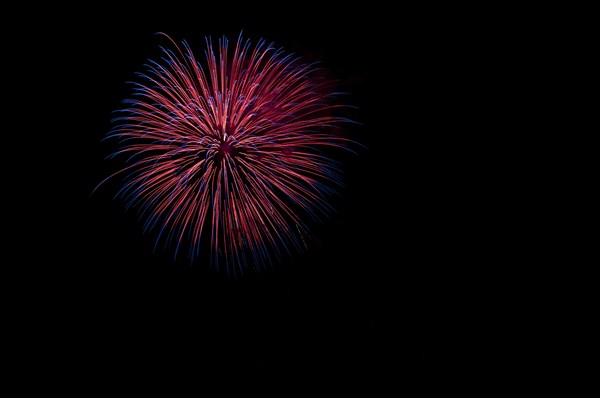 Fireworks at GlobalFest 2011