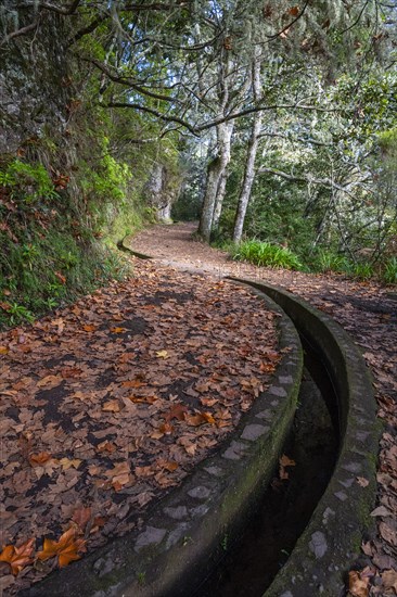 Hiking trail with levada