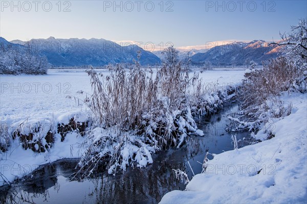 Winter landscape in the Murnauer moss with Estergebirge and Ammergau Alps