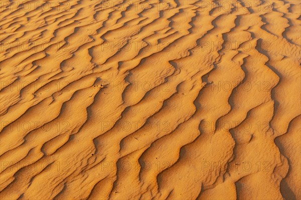 Natural patterns and ripples in the sand