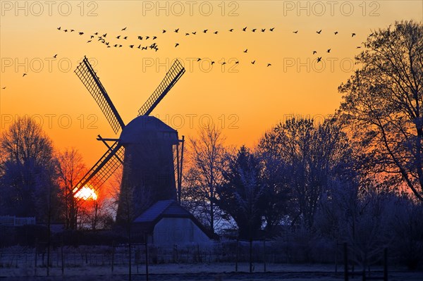 Dueffellandschaft with the windmill in Mehr at sunrise