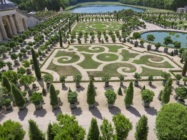 View of the orange garden of the Palace of Versailles