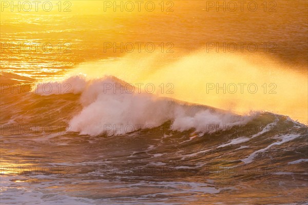 Large wave backlit