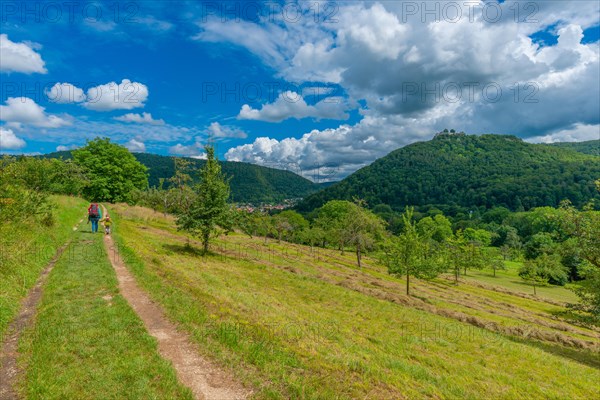 Hinteres Maisental landscape conservation area