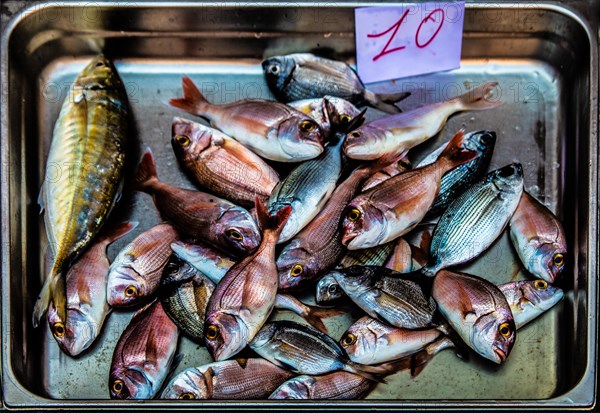 Historic fish market La pescheria with a cornucopia of colourful sea creatures