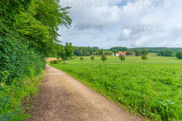 Fohlenhof Gestuet St. Johann