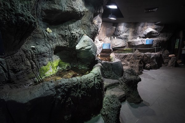 Exhibitions and aquariums at the Aquarium